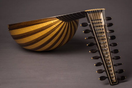 Lute of the 17th century. Close-up details