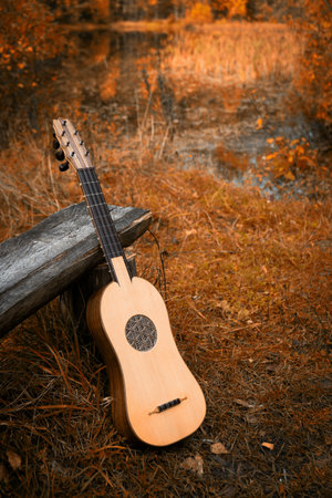 Renaissance guitar in a autumn gardenの写真素材