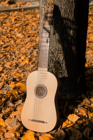 Renaissance vihuela in a autumn gardenの写真素材