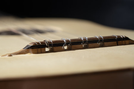 Renaissance guitar of the 16th century. Close-up detailsの写真素材