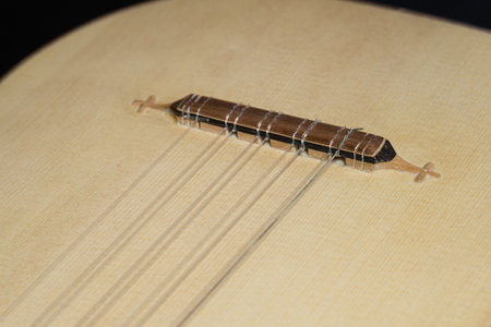 Renaissance guitar of the 16th century. Close-up detailsの写真素材