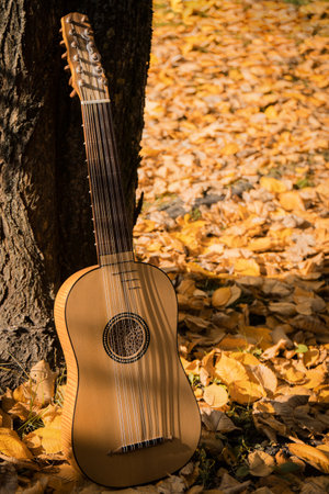 Renaissance vihuela in a autumn gardenの写真素材