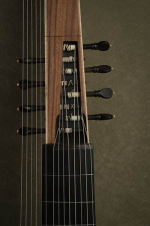 Theorbo of the 17th century. Close-up detailsの写真素材