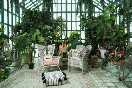 Refined interior of the greenhouseの写真素材