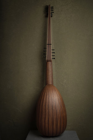 Theorbo of the 17th century.の写真素材