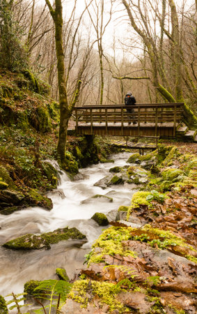 Beautiful view of a small wooden bridge over a river in the woods in the mountains of Asturias, Spain.の写真素材