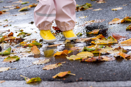 A young child with yellow boots splashes in a rain puddle with autumn leavesの写真素材