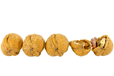 Walnut cracked line 