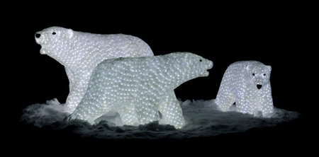 Three lighted polar bears at night の写真素材