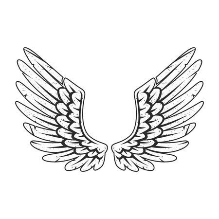 Vintage black and white stylized spotted spread wings of an angel or bird isolated on white backgroundのイラスト素材