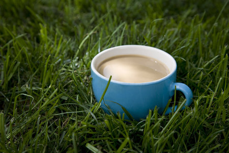 Cup of coffee standing in a grass.の写真素材