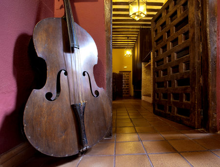 Contrabass in an interior in rural style の写真素材