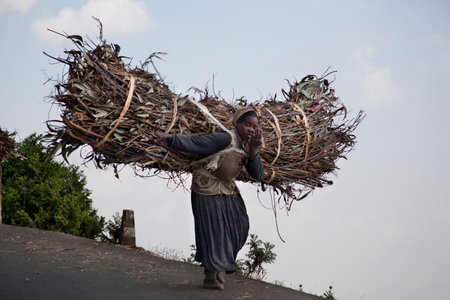 ADDIS ABABA, ETHIOPIA - NOVEMBER 29, 2011: Woman carries a large bundle of firewood along the road on in Addis Ababa, Ethiopia.のeditorial素材