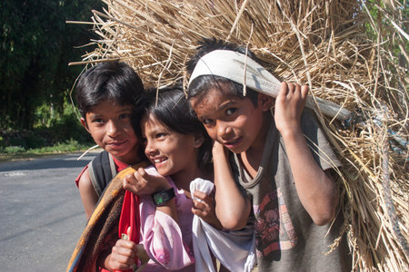 POKHARA, NEPAL - NOVEMBER 04, 2005: Nepalese children carry hay at the traditional way.のeditorial素材