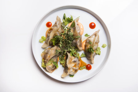 Gyoza traditional japanese dishの写真素材