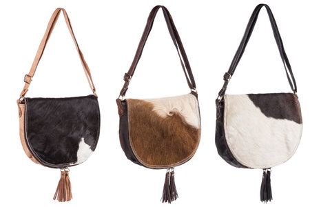 Female leather bag isolated on white background.の写真素材