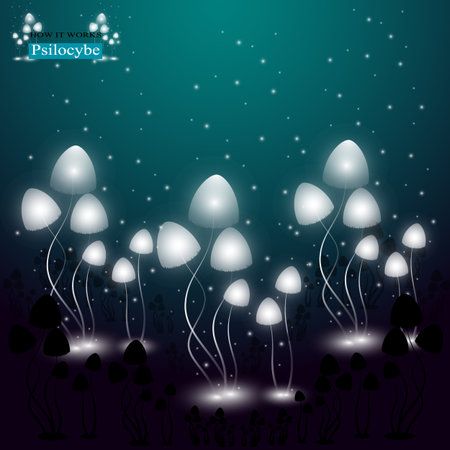 The shining hallucinogenic mushrooms of Psilocybe group.のイラスト素材