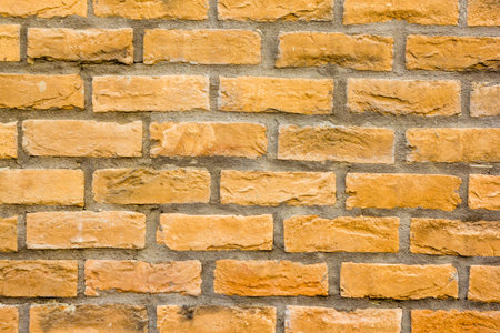 Juicy, green background of structure of leaves of a treeの写真素材