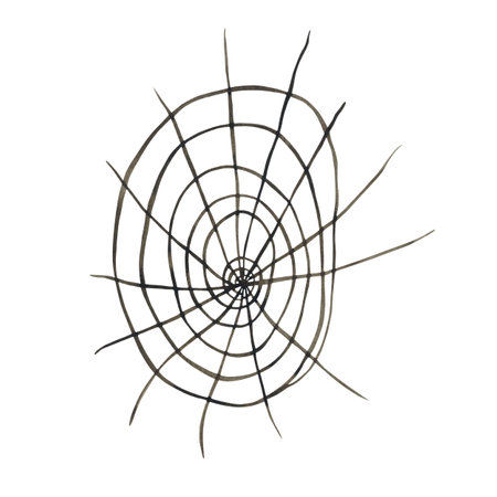 Black round spider web on white backgroundの写真素材