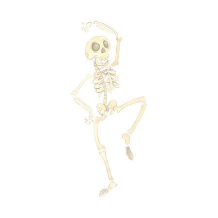 Funny dancing skeleton, holiday decorationの写真素材