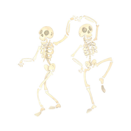 Two funny dancing skeletons in a pairの写真素材