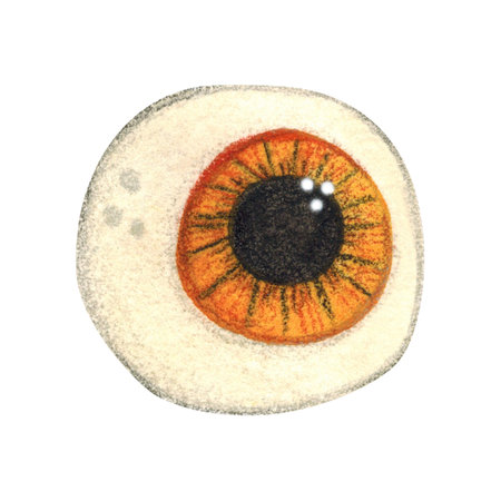 Eye, round, with black pupil, isolated, watercolor illustrationの写真素材