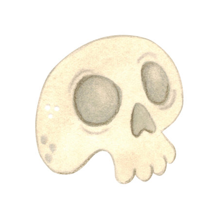 White human skull isolated, cartoonの写真素材