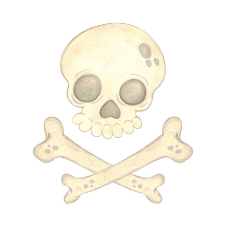 Skull and crossbones, pirate signの写真素材