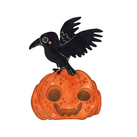 Black raven sits with spread wings on a festive pumpkinの写真素材