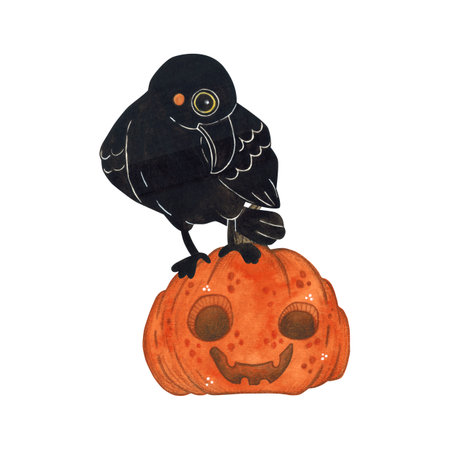 Black raven sitting on a festive pumpkinの写真素材