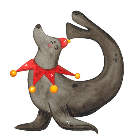 A seal in a red cap performs in the circus, watercolor illustrationの写真素材