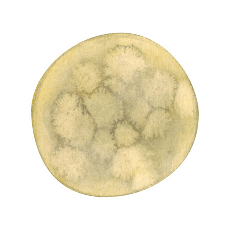 Watercolor circle moon halloween decoration. Cartoon watercolor illustration hand drawn cartoon. Drawing for stickers, scrapbooking. Night, moon, watercolor, spot, circle, texture, halloween, holiday,の写真素材