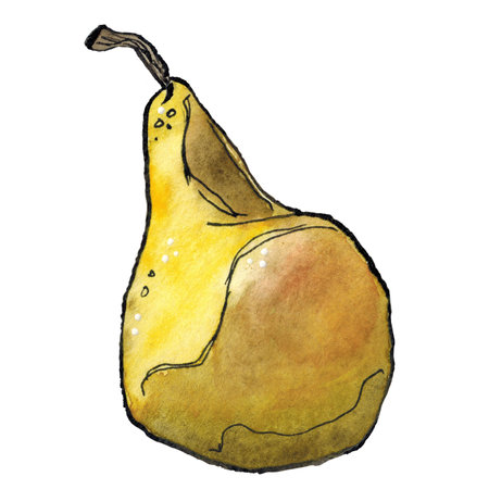 Yellow pear, isolated. Watercolor and ink illustration. Drawing for print, stickers, scrapbooking. Fruit, pear, food, nature, product, natural, composition, ink, graphicの写真素材