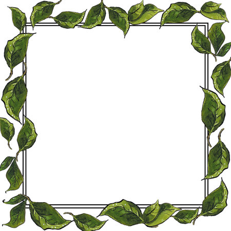 Square frame of green leaves and lines. Hand drawn illustration, watercolor and ink. Plant, leaves, green, frame, square, juicy, summer, graphics, ink, watercolorの写真素材