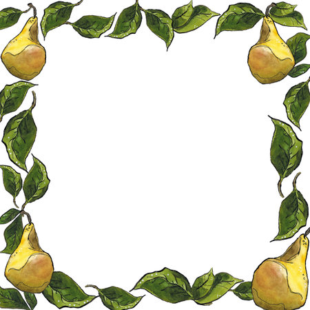 Square frame of four yellow pears and green leaves. Hand drawn illustration with watercolor and ink. Fruit, pear, plant, juice, yellow, leaves, green, frame, square, juicyの写真素材