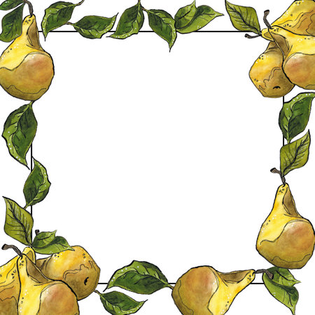 Black line and frame of yellow pears and green leaves. Hand drawn illustration with watercolor and ink. Fruit, pear, plant, juice, yellow, leaves, green, frame, square, juicy, summerの写真素材