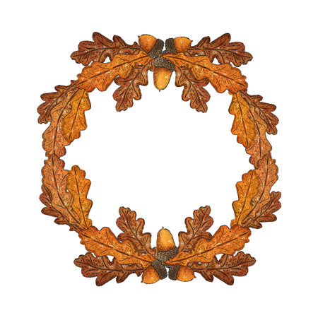 Wreath of oak leaf branches and acorns. Hand drawn illustration with watercolor and ink. Drawing for poster, print, scrapbooking. Autumn, harvest, foodの写真素材