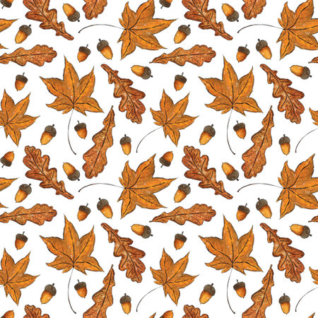 Seamless pattern of maple leaves acorns. Hand drawn illustration with watercolor and ink. Drawing for poster, tableware, cards, scrapbooking. Autumn, tree, ocher, foliage, nutの写真素材