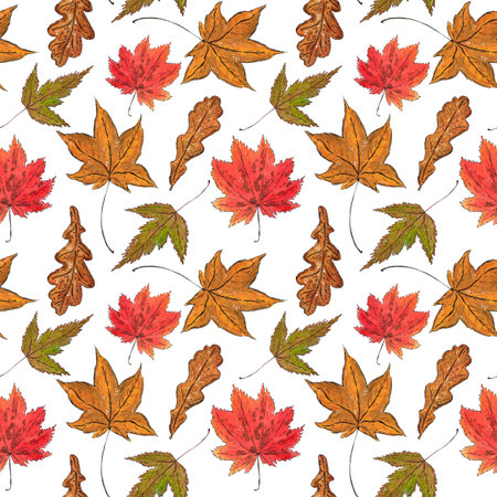 Seamless pattern of maple leaves. Hand drawn illustration with watercolor and ink. Drawing for poster, tableware, postcards, scrapbooking. Autumn, tree, foliage, orangeの写真素材