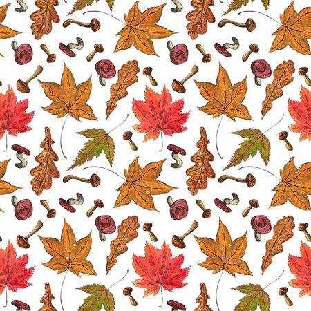 Seamless pattern of maple leaves and mushrooms. Hand drawn illustration with watercolor and ink. Drawing for poster, tableware, postcards, scrapbooking. Autumnの写真素材