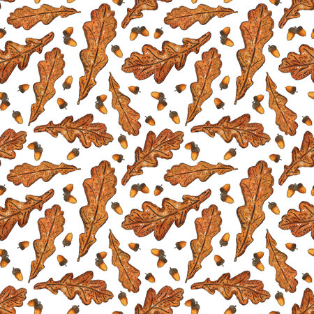 Seamless pattern of oak leaves and acorns. Hand drawn illustration with watercolor and ink. Drawing for poster, tableware, cards, scrapbooking. Autumn, tree, ocher, foliage, nutの写真素材