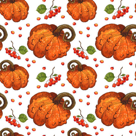 Seamless pattern of pumpkins and hawthorn berries. Hand drawn illustration with watercolor and ink. Drawing for printing on fabric, paper, scrapbooking. Autumn, harvest, vegetablesの写真素材