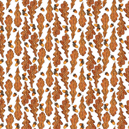 Seamless pattern of parallel rows of oak leaves and acorns. Hand-drawn illustration with watercolor and ink. Drawing for poster, tableware, cards, scrapbooking. Autumn, tree, ocherの写真素材