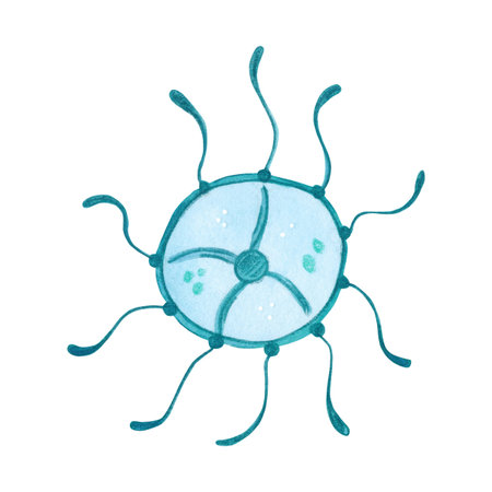 A small blue jellyfish with spread tentacles in the form of the sun. Watercolor illustration drawn, cartoon, made by hand. For stickers, biology and ecology manuals. Sea, animal, oceanの写真素材