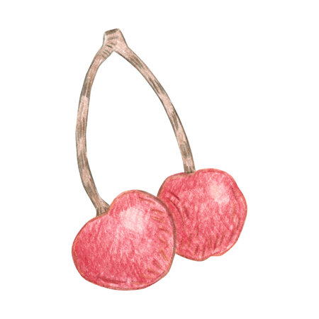 Two cherries, red and ripe, held together by a twig. Hand-drawn illustration with colored pencils, cartoonish. Design for stickers, scrapbooking, prints, or menus. Fruit, juicy, naturalの写真素材