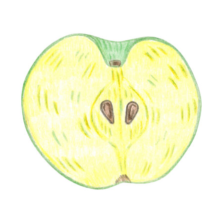 A ripe apple, cut down the middle. Hand-drawn illustration with colored pencils, cartoonish. Design for stickers, scrapbooking, prints, or menus. Fruit, juicy, natural, deliciousの写真素材