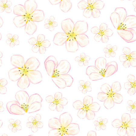 Seamless pattern of pink cherry blossoms. Hand-drawn illustration with colored pencils. Design for fabric, cards, menus, cookbooks, and textilesの写真素材