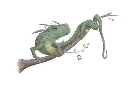 lizard sitting on a tree branchの写真素材