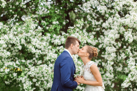 elegant stylish groom with his happy gorgeous brunette bride on the background of apple trees in the parkの写真素材