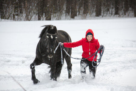 Woman walking horse on lungeの写真素材